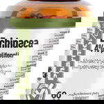 Echinacea 4% polifenoli extract de coneflower violet 360 mg (60 caps) Pharmovit Clean Label, PharmoVit
