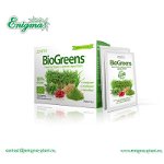 Supliment alimentar pentru energizare si detoxifiere Zenyth BioGreens, 28 plicuri x 4 g