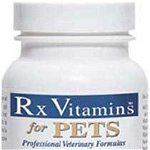 RX VITAMINS NutriGest Supliment nutriţional, 90 capsule, RX Vitamins