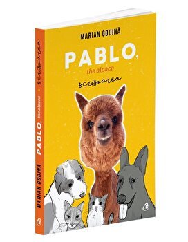 Pablo, the alpaca - Paperback brosat - Marian Godină - Curtea Veche, 