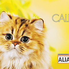 Calendar de birou, 23 x 11 cm, 6 file, Pisici, 2025