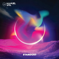Stardust - Vinyl | Manuel Riva, Forward Agency