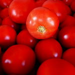 Seminte de tomate determinate Bobcat F1, 1000 sem