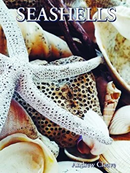 Seashells, Hardback - Andrew Cleave