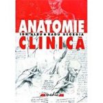 Anatomie clinica, Grupul All