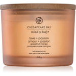 Chesapeake Bay Candle Mind & Body Love & Passion lumânare parfumată I. 312 g, Chesapeake Bay Candle