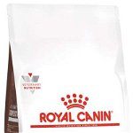 ROYAL CANIN VHN Gastrointestinal Low Fat Hrană uscată pentru câini, Royal Canin Veterinary Diet
