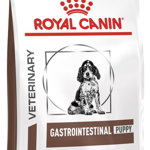 ROYAL CANIN VHN Gastrointestinal Junior Hrană uscată pentru câini 2,5kg, Royal Canin Veterinary Diet