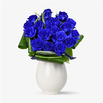 Buchet de 19 trandafiri albastri - Standard, Floria