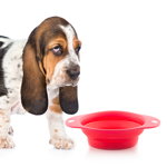 Castron de Mâncare Pliabil pentru Animale de Companie Heart, BigBuy Pets