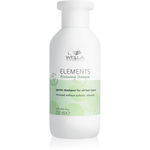 Sampon Wella Professionals Elements Renewing cu ingrediente naturale, Wella Care Professional