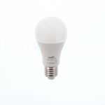 Bec cu led A60 E27 15W 230V lumina rece Basic Well