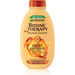 Garnier Botanic Therapy Honey &amp