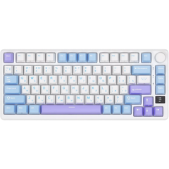ROYAL KLUDGE Tastatura Gaming Royal Kludge RK-M75, Silver switch, iluminare RGB, Wired, Wireless 2.4Ghz, Bluetooth (Multicolor), ROYAL KLUDGE