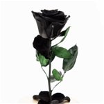 Trandafir criogenat negru in cupola, 