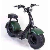 Scuter Electric pentru Adulti, 1500W, AT PERFORMANCE®, Viteza de Pana la 65 km/h, Interval de Incarcare de 40-60 km, verde, Atmag