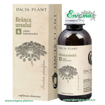 Branca Ursului Tinctura 200 ml, Dacia Plant