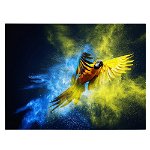 Tablou papagal Ara in zbor pulbere de praf 1893 - Material produs:: Tablou canvas pe panza CU RAMA, Dimensiunea:: 70x100 cm, 