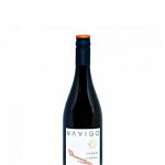 Vin Engros JIDVEI, Navigo Compas Chardonnay, 0.75 L, JIDVEI