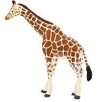 Figurina girafa adulta mojo, Mojo