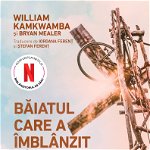 Baiatul care a imblanzit vantul - William Kamkwamba Bryan Mealer, Corint