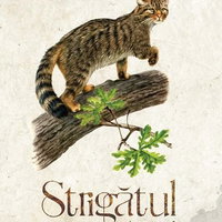 Aventurile lui Pinocchio. Volumul 6. Povesti de Aur, Litera