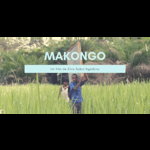 Makongo / Caterpillars / Makongo disponibil pentru vizionare în perioada 21-27.06, 48h de la accesare Online