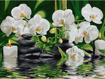 Pictură pe numere - Orhidee pe apă, 30 x 40 cm