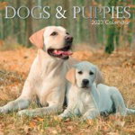Dogs & Puppies Calendar 2023, 