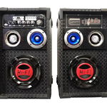 Boxe Audio Gls , Active Cu Amplificare , Joc De Lumini , 220v , Putere Rms 60 W , Radio Fm , Stick Usb , Card Tf, OEM EXTRA