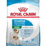 ROYAL CANIN SHN Mini Starter Mother & Babydog pt. femele gestante şi căţei, Royal Canin