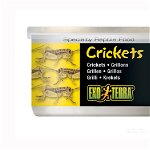 Hrana reptile Hagen Meniu Exo Terra Cricket Greiere XL 34 g