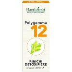 Polygemma 12 Rinichi detoxifiere 50 ml, PlantExtrakt