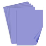 Carton color violet A3 160g 10 set Clairefontaine 1047, Galeria Creativ