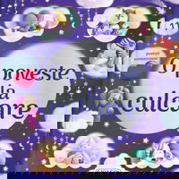 O poveste la culcare, 11 povesti somnoroase, Girasol