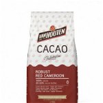 Cacao pudra Robust Red Cameroon 20-22%, 1 Kg, Van Houten