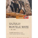 Gilăului. Muntele Mare - Hartă de drumeție - Paperback - *** - Schubert & Franzke, 