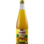 Voelkel – Suc bio de ananas, 0.7l