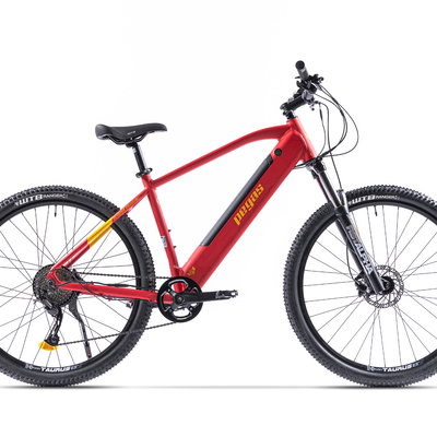Bicicleta MTB Pegas Drumet Dinamic E-Bike M, Rosu Mat,