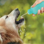 UNITED PETS Water4Dogs Sticlă din silicon pentru câini 100ml, Verde, United Pets