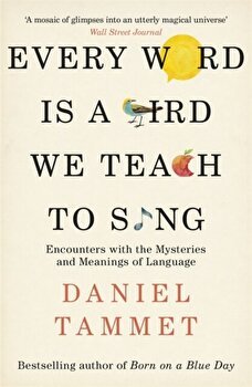 Every Word is a Bird We Teach to Sing de Daniel Tammet