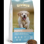 DIVINUS Puppy hrana uscata pentru caini juniori 20 kg, DIVINUS