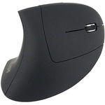 Mouse Optic Ergonomic, Equip, USB, x2 baterii, Negru