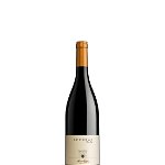Vin rosu sec, Nebbiolo, Sfursat Nino Negri Valtellina, 0.75L, 16% alc., Italia, Nino Negri