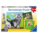 Puzzle pisicute 3x49 piese RAVENSBURGER, Ravensburger