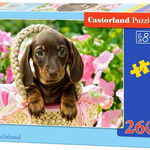 Puzzle 260 piese Cute Dachshund, Castorland