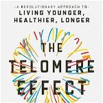 Telomere Effect, Elizabeth Blackburn