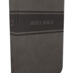 KJV, Deluxe Gift Bible, Imitation Leather, Gray, Red Letter Edition - Thomas Nelson, Thomas Nelson