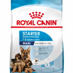 ROYAL CANIN SHN Maxi Starter Mother & Babydog, Royal Canin