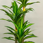 Copac artificial, Yucca cu ghiveci D3059, verde, 180 cm, Naimeed Company